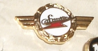 Simson Pin
